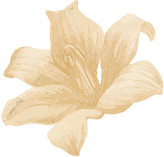 Aromatherapy Massage in Kolhapur